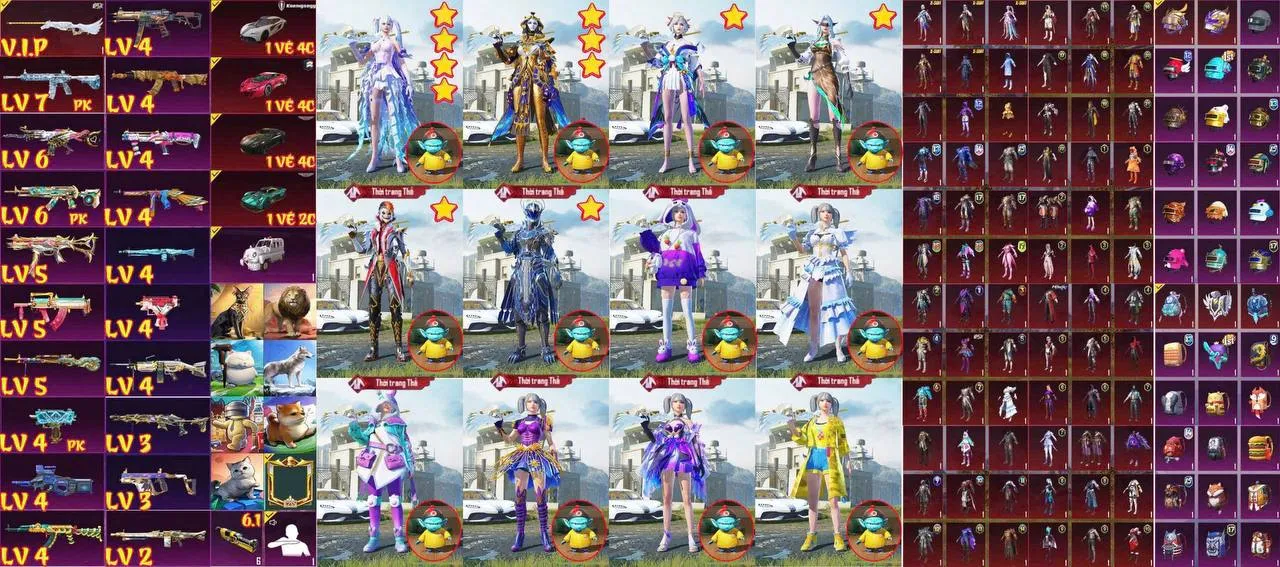 TTGS