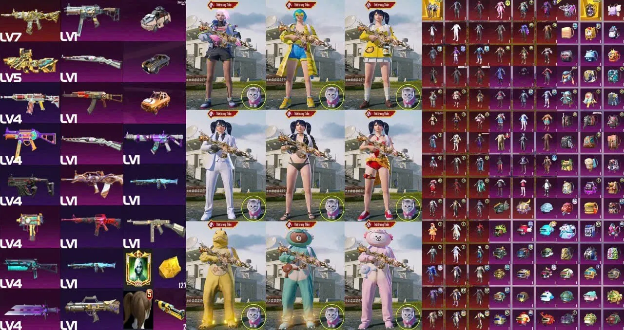 TTGS