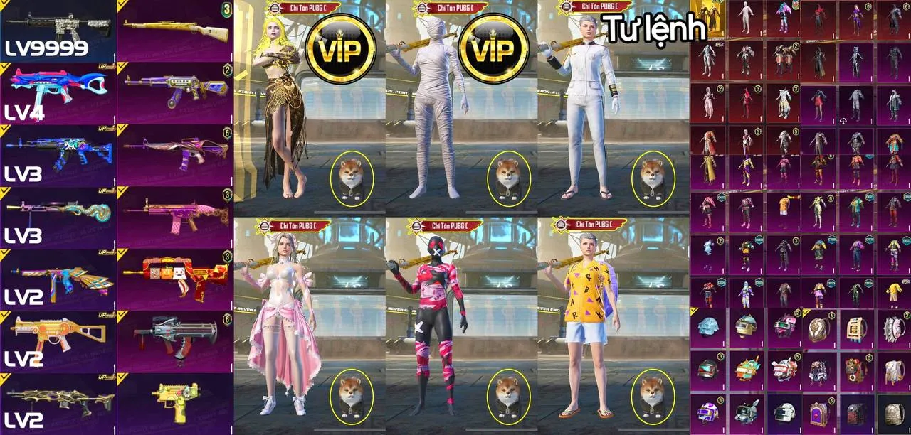 NVT