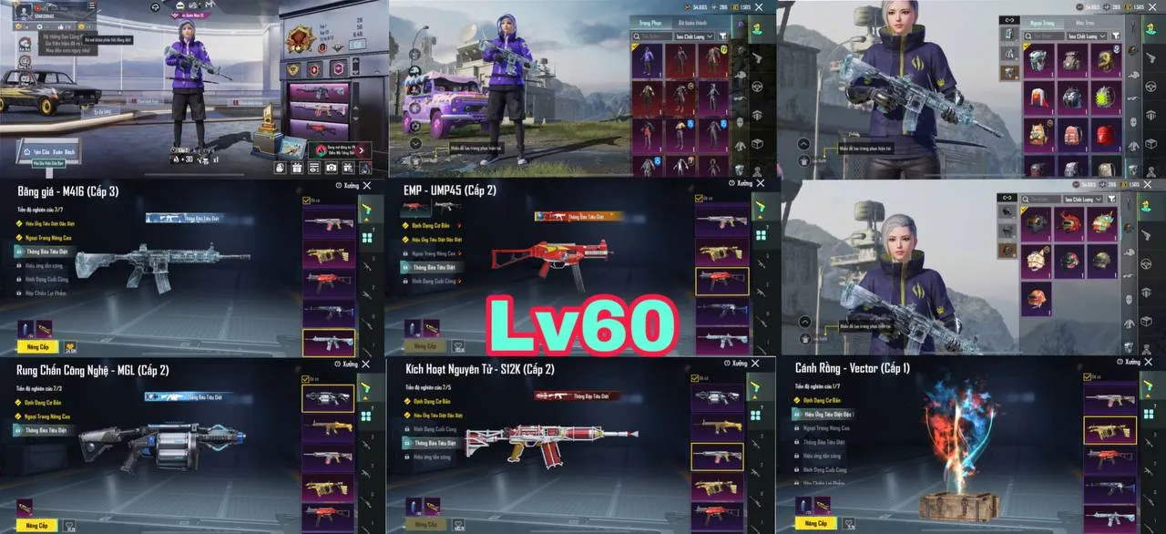 NVT